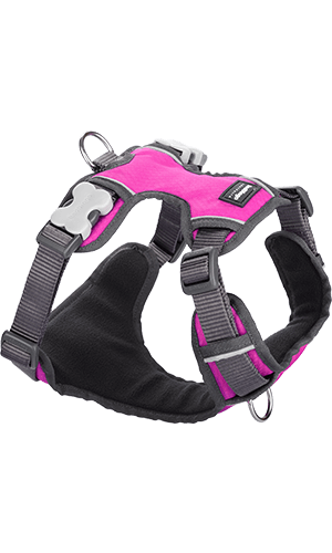 Padded Dog Harness - Pink