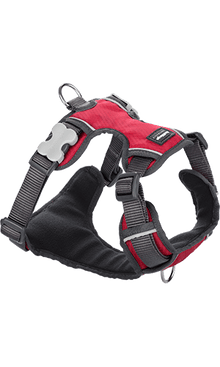 Padded Dog Harness - Red