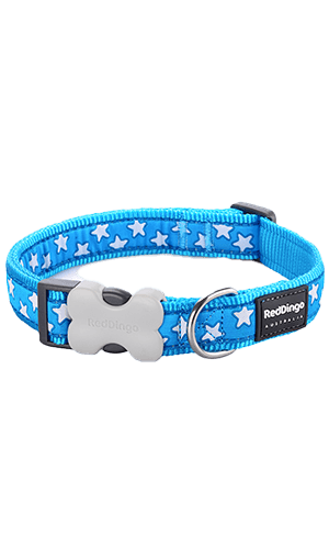 White Star Dog Collar - Turquoise