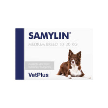 Samylin Liver Supplement Medium Breed Dogs - 30 Tablets