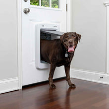 PetSafe SmartDoor Connected Pet Door