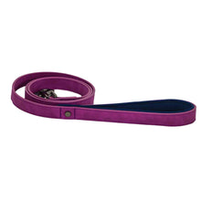 Sotnos Bright Tech Dog Lead - Raspberry - 1.2m x 2cm