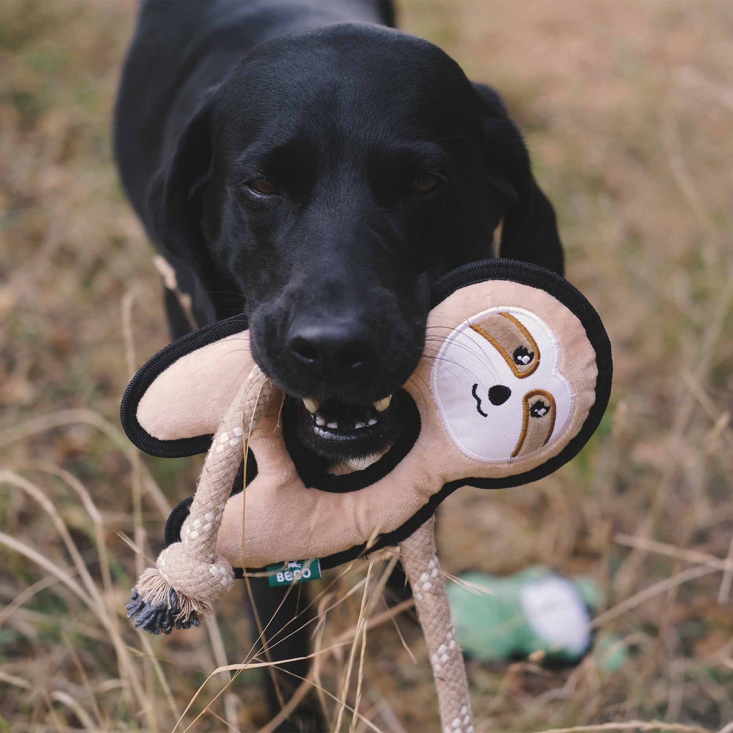 Beco Plush Sloth Dog Toy - Medium