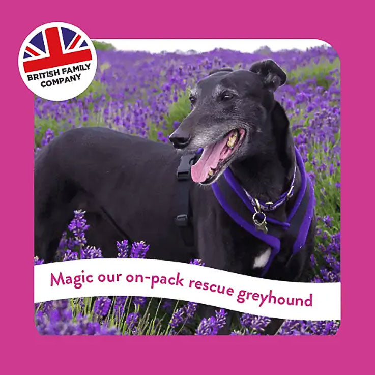 Burgess Greyhound & Lurcher Adult Dry Dog Food