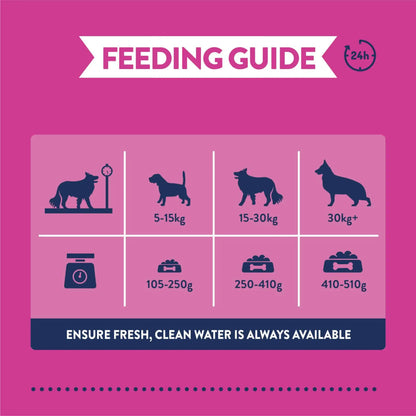 Burgess Greyhound & Lurcher Adult Dry Dog Food