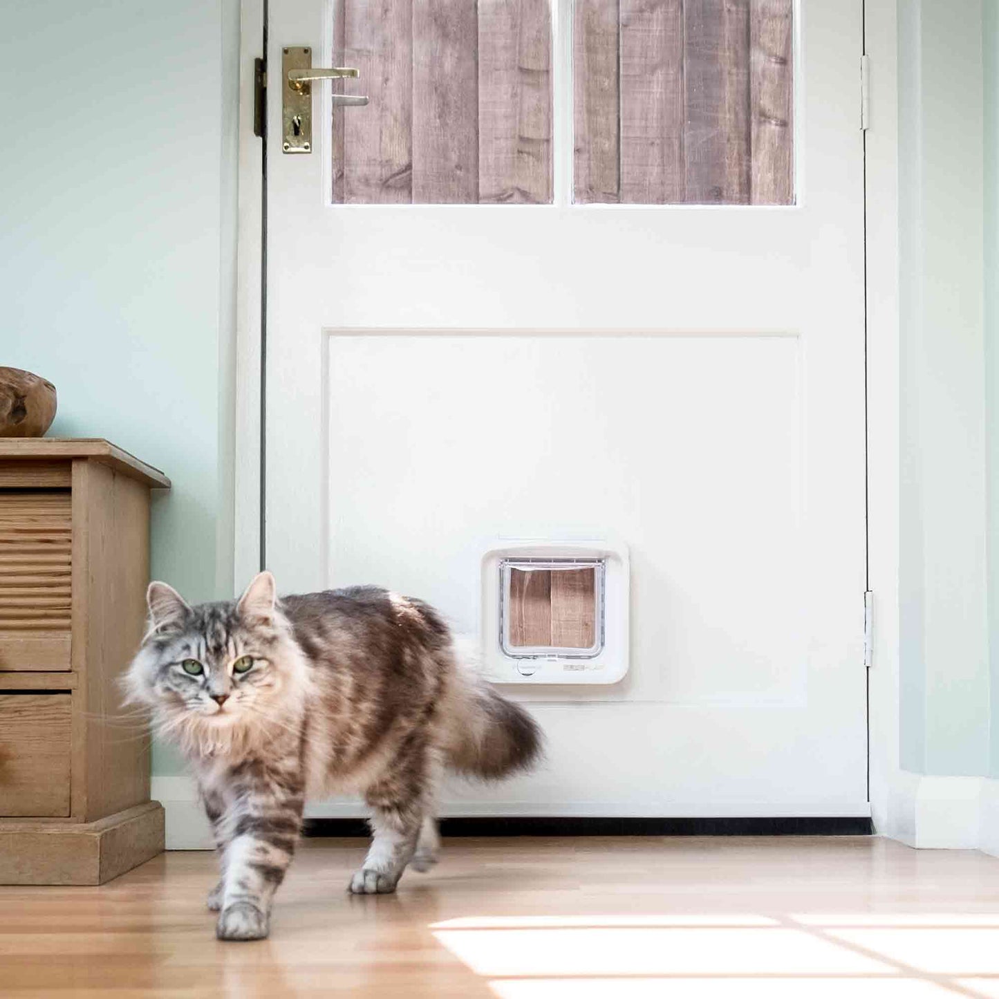 Sureflap DualScan Microchip Cat Flap