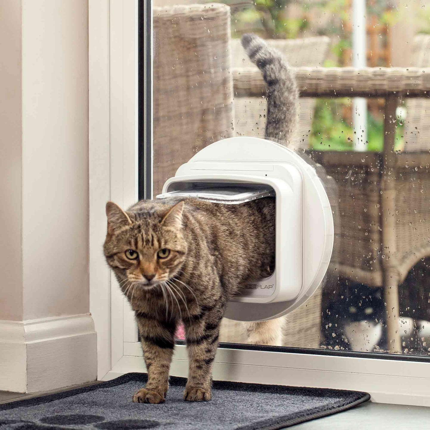 Sureflap DualScan Microchip Cat Flap