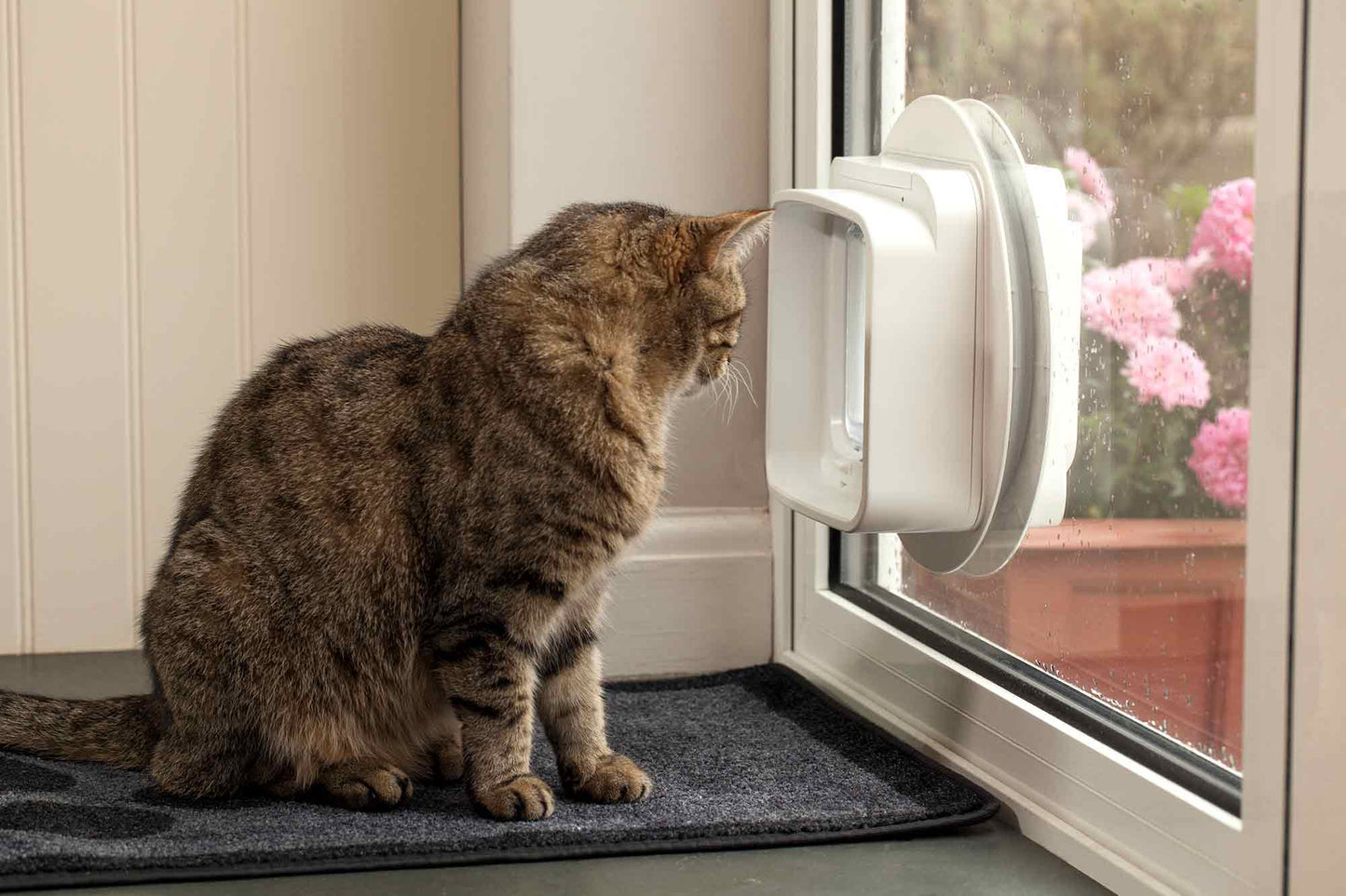 Sureflap DualScan Microchip Cat Flap