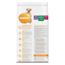 IAMS Large Breed Adult Dry Dog Food - Lamb