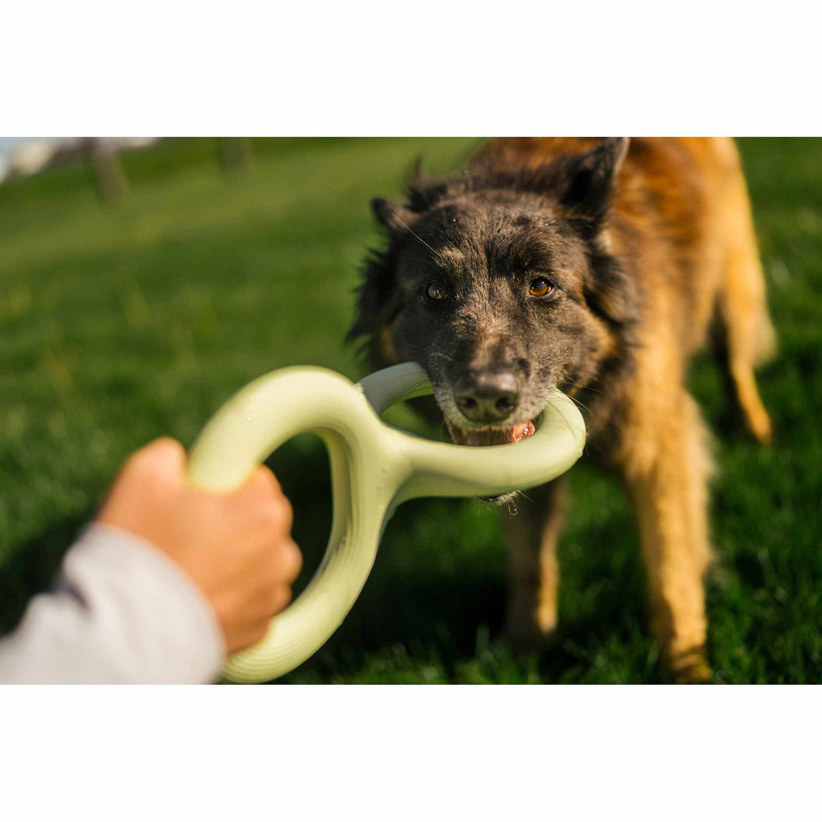Earth Rated Rubber Tug Dog Toy
