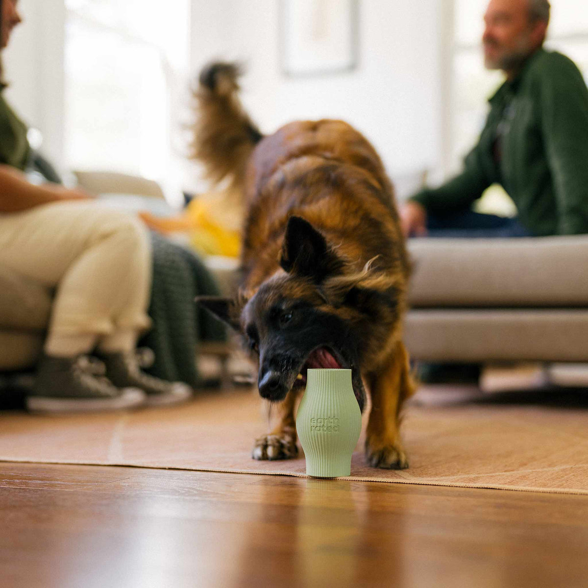 Earth Rated Rubber Treat Dog Toy