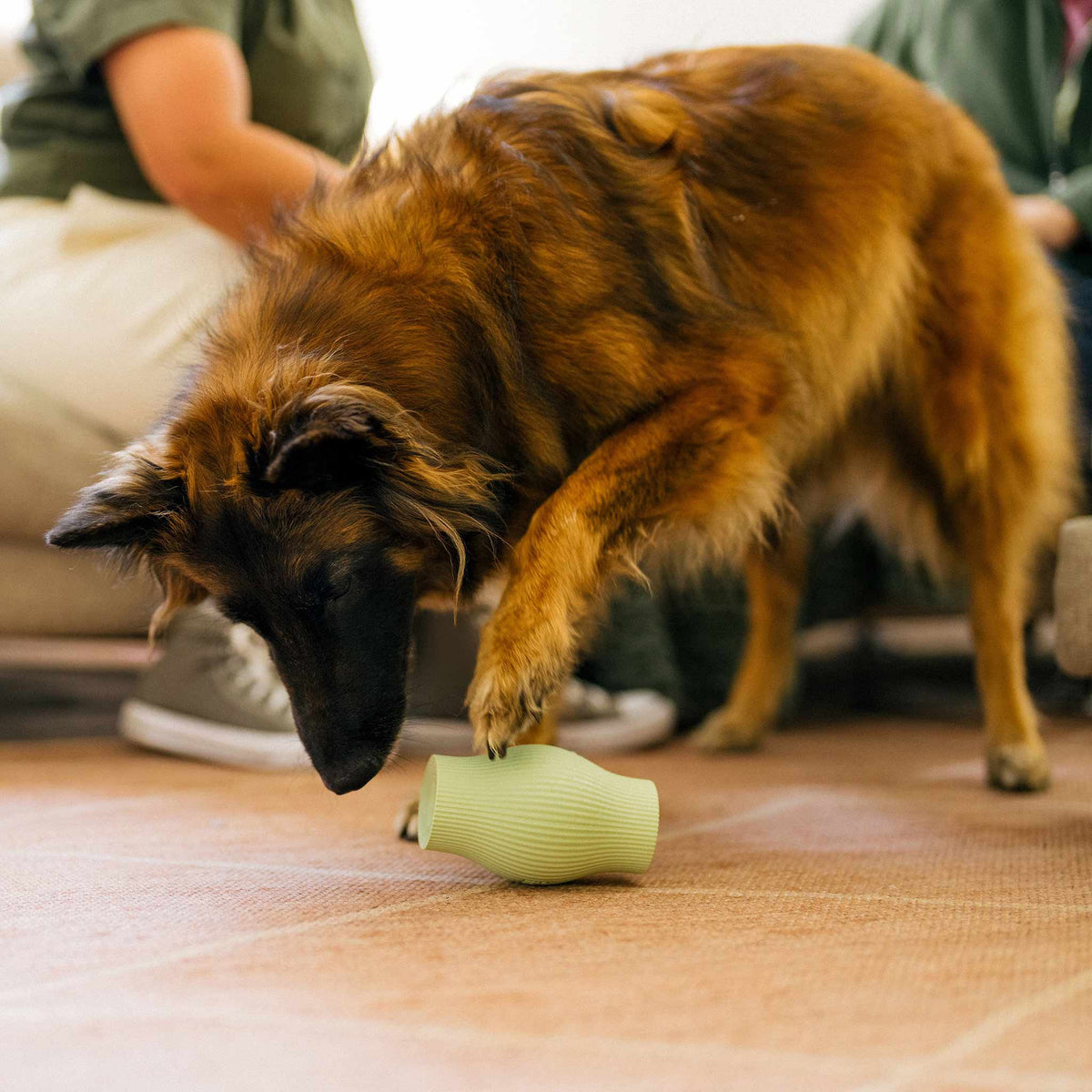 Earth Rated Rubber Treat Dog Toy