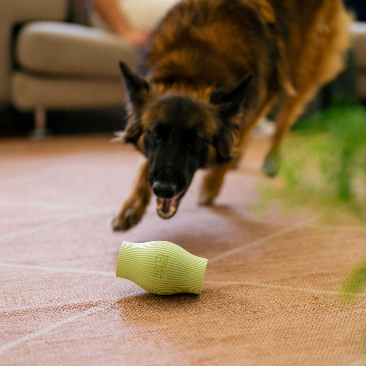 Earth Rated Rubber Treat Dog Toy