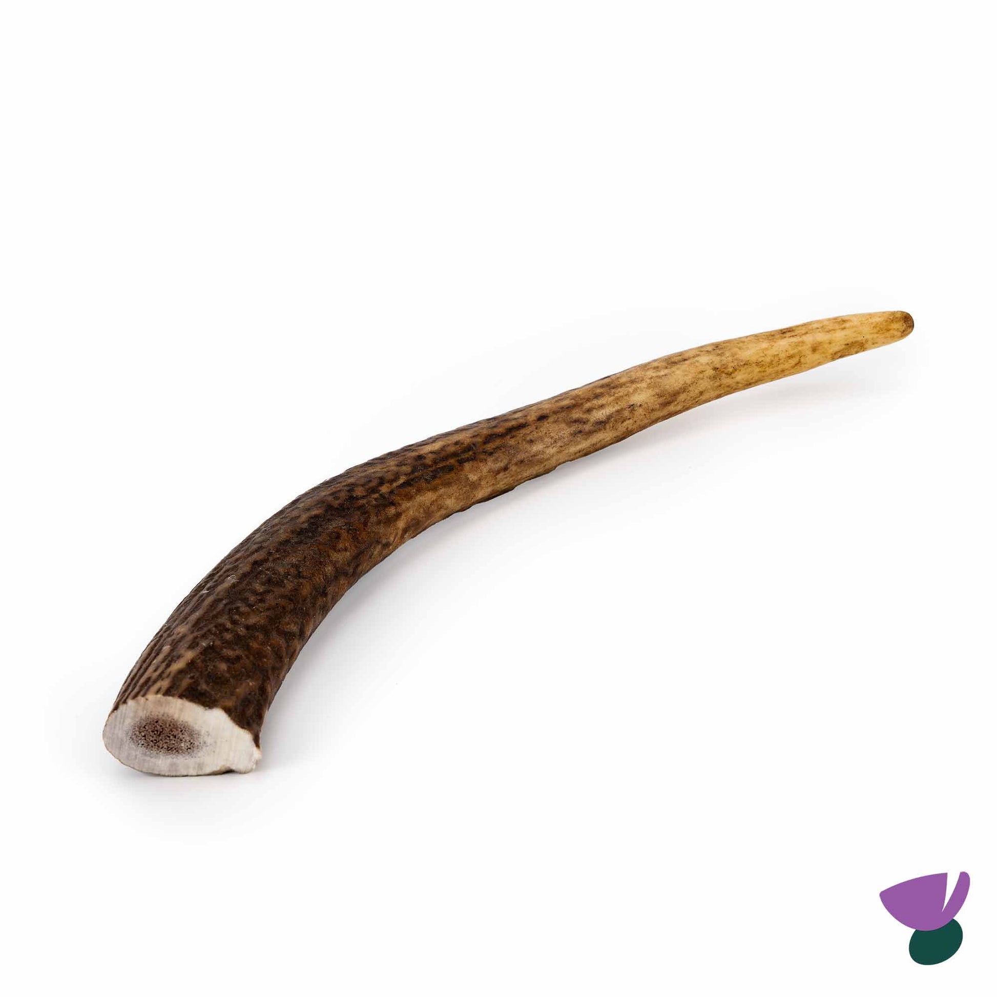Thistlers Thistlers Antler Chew Extra Adult Treat Dog pet food packaging