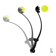 Barkshire Ball Thrower - Black