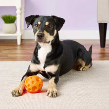 Tricky Treat Ball Dispensing Dog Toy - Medium