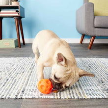 Tricky Treat Ball Dispensing Dog Toy - Small