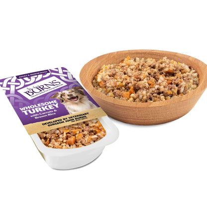 Burns Adult/Senior Wet Dog Food - Wholesome Turkey - 12x150g Trays