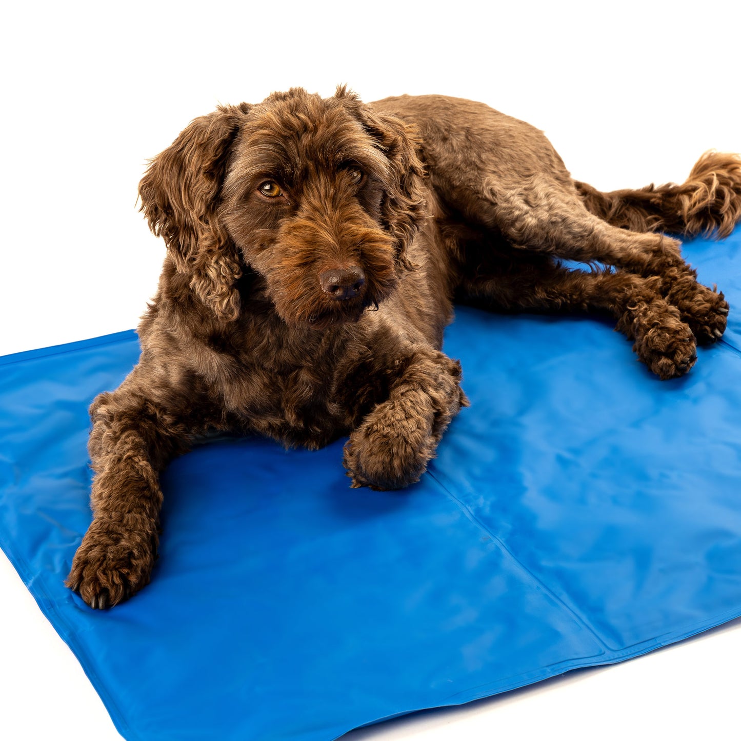 Danish Design Pet Cooling Mattress - 50x90cm