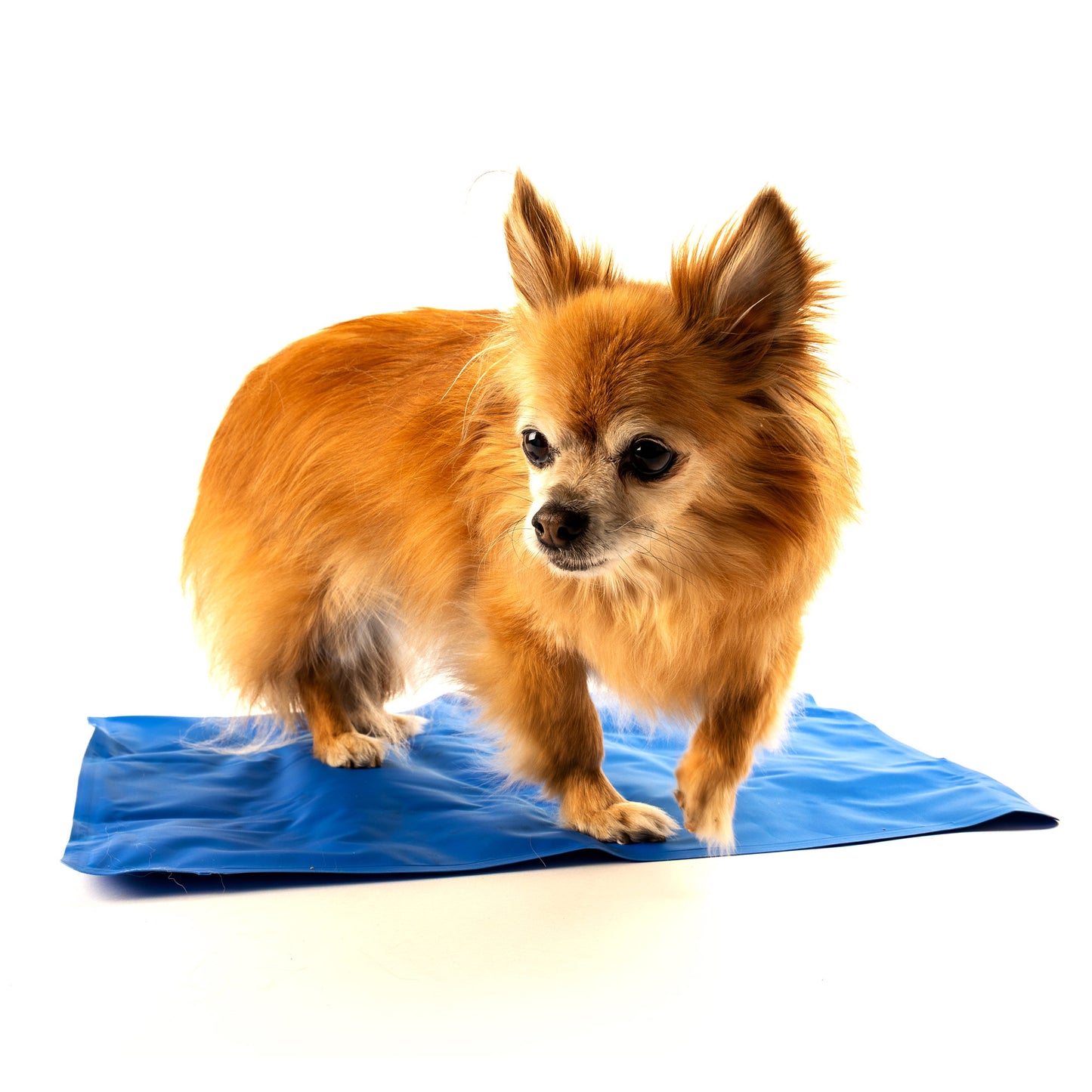 Danish Design Pet Cooling Mattress - 40x50cm