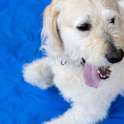Danish Design Pet Cooling Mattress -  70x110cm