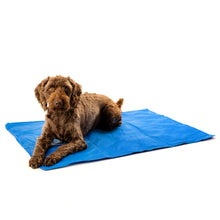 Danish Design Pet Cooling Mattress - 50x90cm