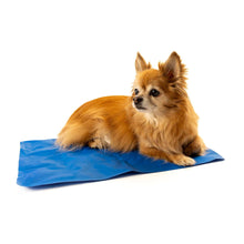 Danish Design Pet Cooling Mattress - 40x50cm