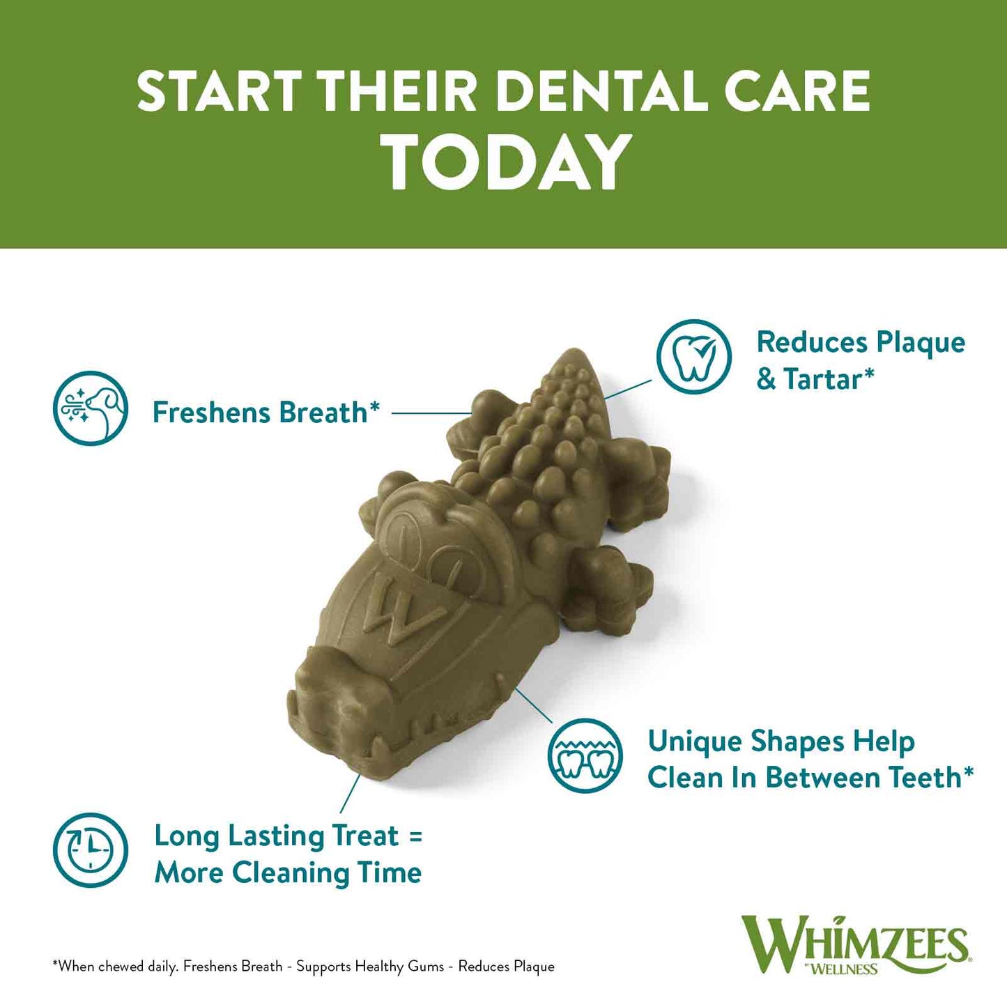 WHIMZEES Alligator Medium Dental Chew Dog Treat - 12 pack