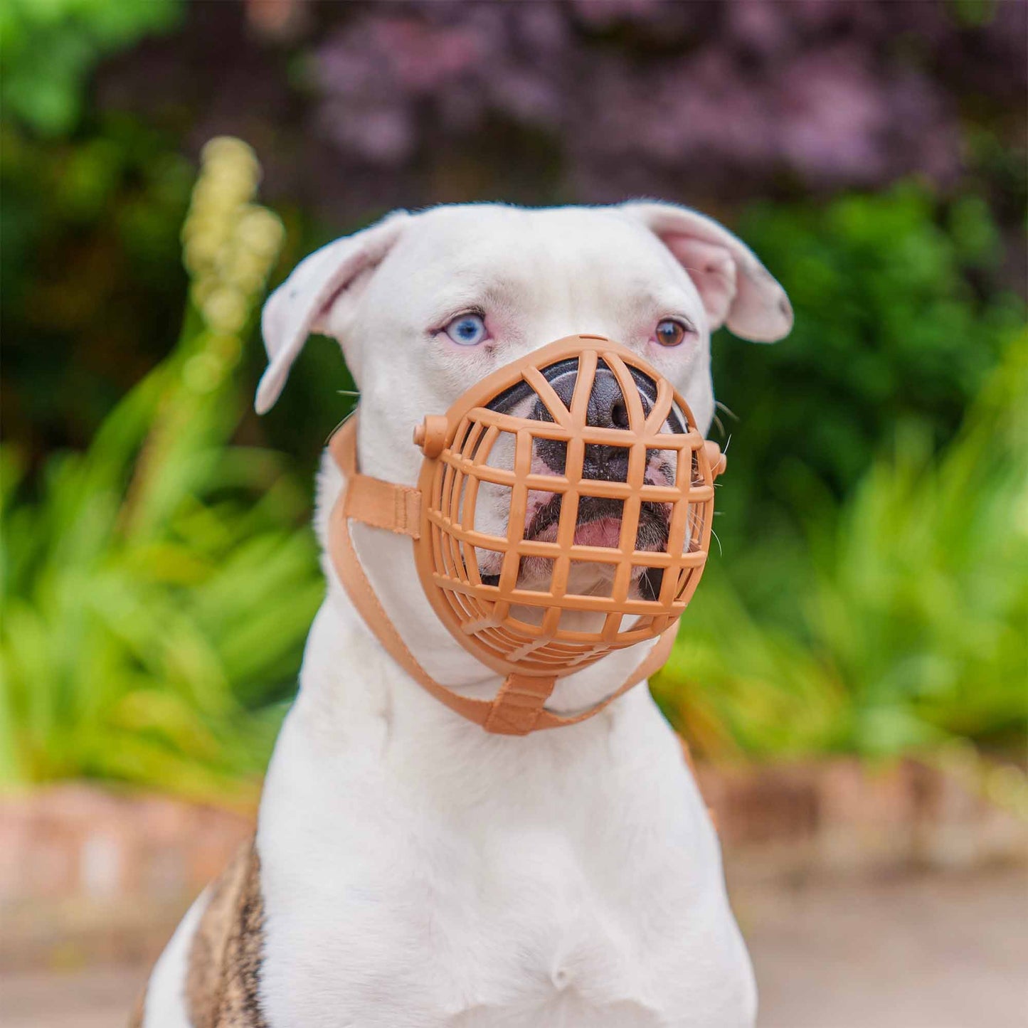 Baskerville Wide Fit Dog Muzzle - Size 1