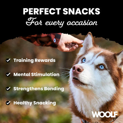 Woolf Soft Duck Fillet Dog Snacks - 100g